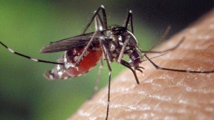Whaleyville and Willards to Have Aerial Spraying for Mosquitoes Today